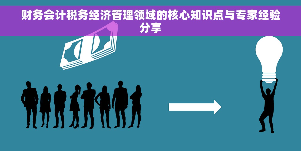 财务会计税务经济管理领域的核心知识点与专家经验分享