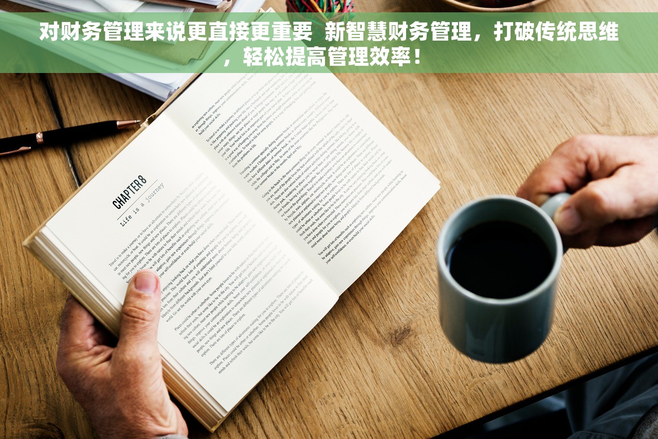 对财务管理来说更直接更重要  新智慧财务管理，打破传统思维，轻松提高管理效率！ 