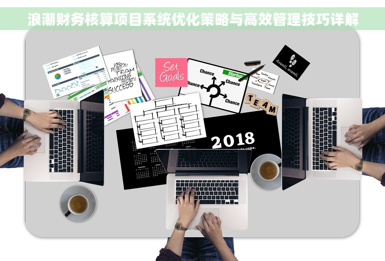 浪潮财务核算项目系统优化策略与高效管理技巧详解