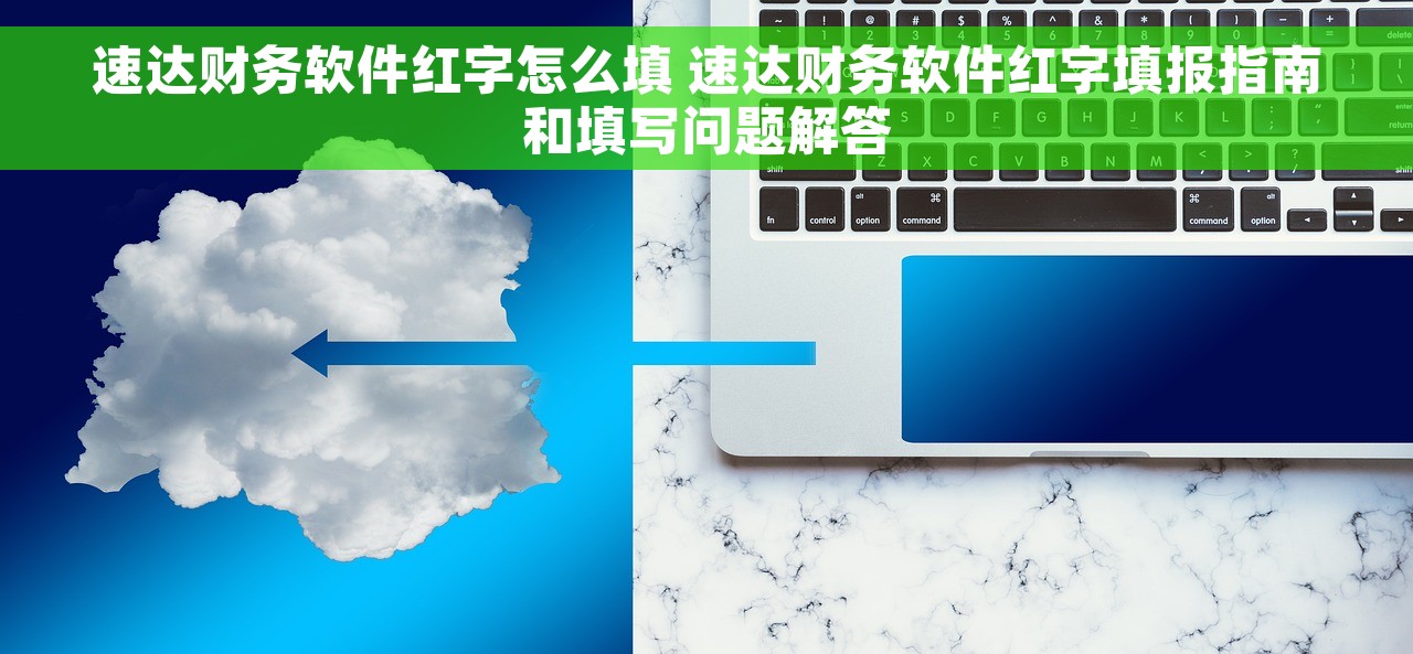 速达财务软件红字怎么填 速达财务软件红字填报指南和填写问题解答