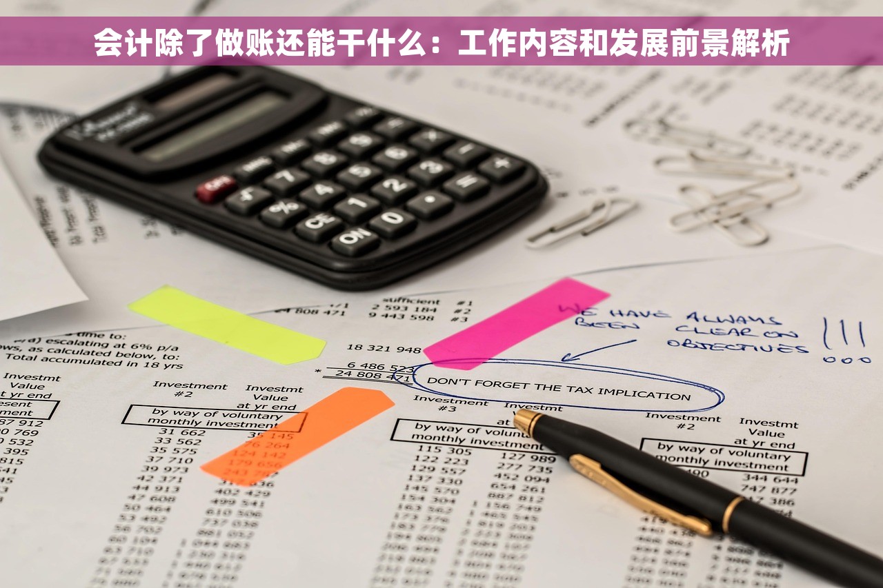 会计除了做账还能干什么：工作内容和发展前景解析