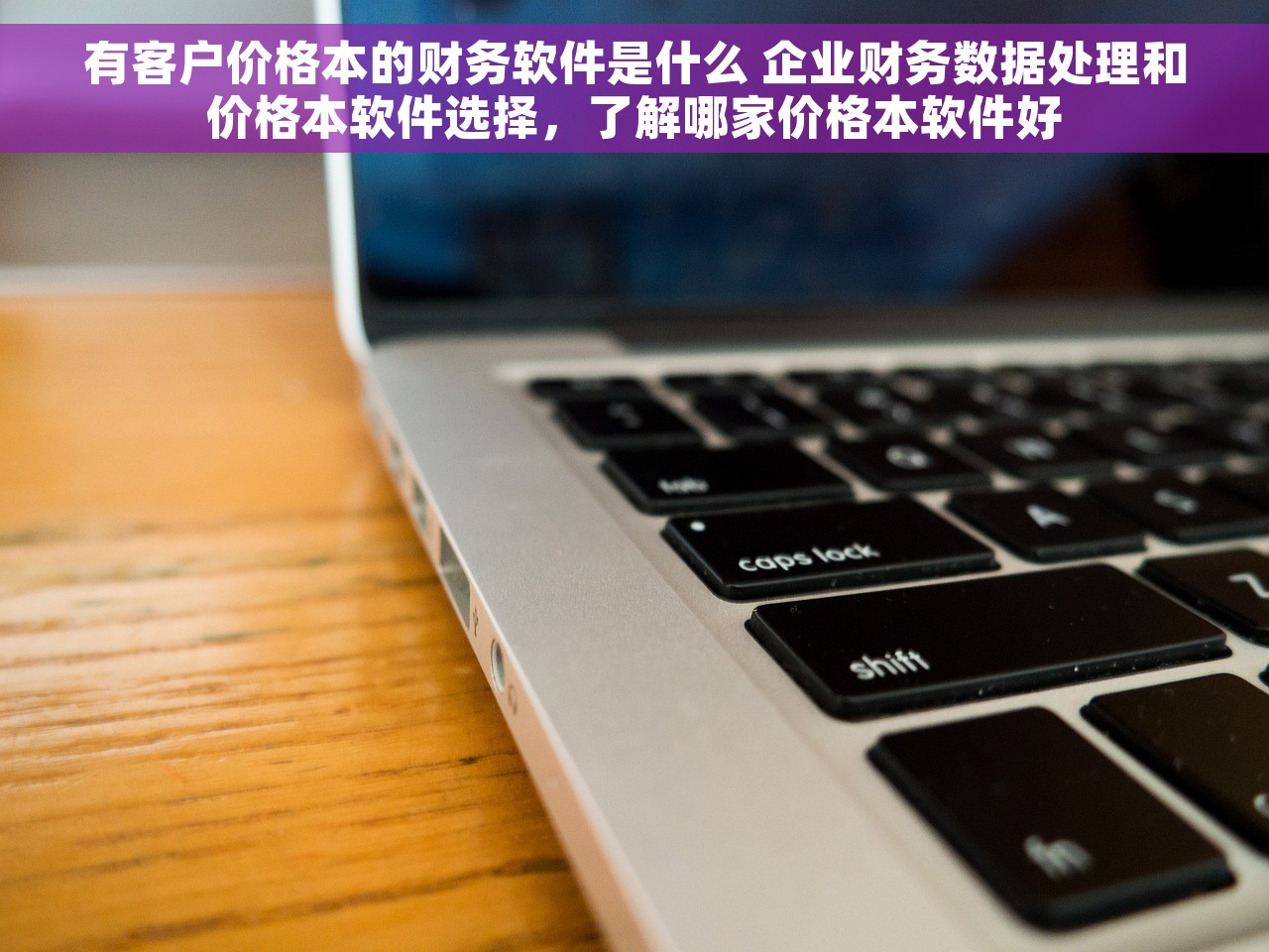有客户价格本的财务软件是什么 企业财务数据处理和价格本软件选择，了解哪家价格本软件好