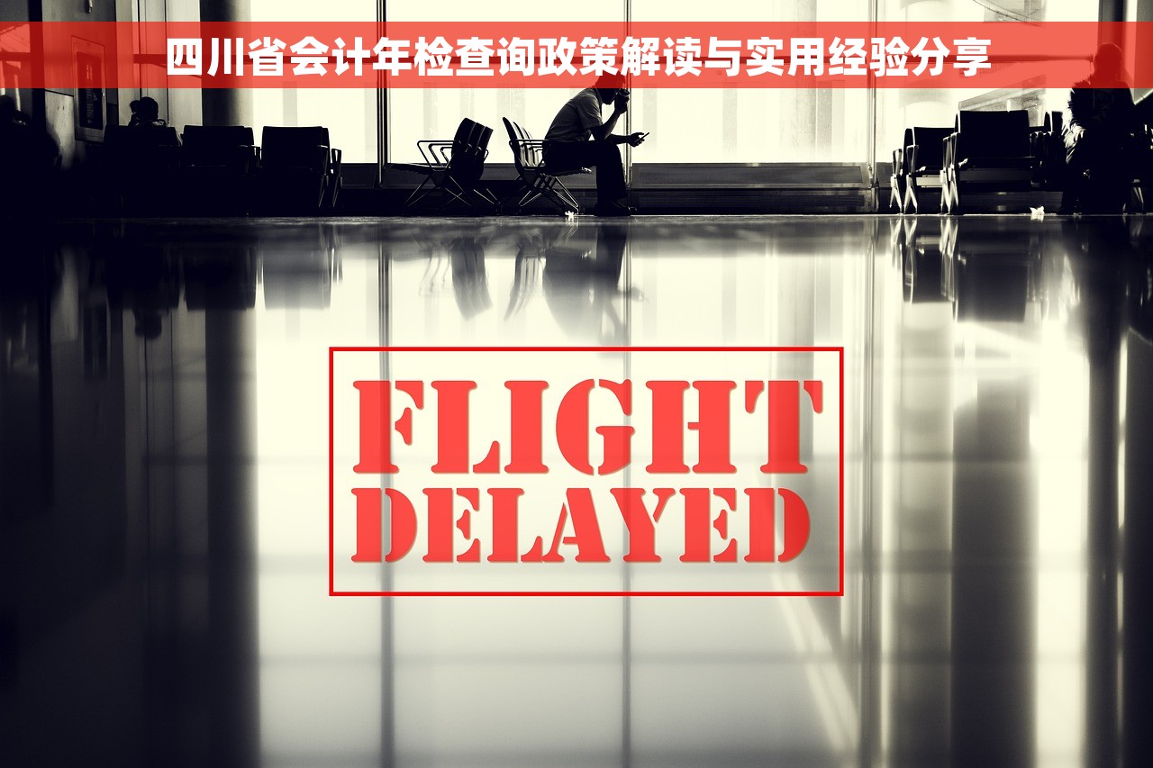 四川省会计年检查询政策解读与实用经验分享