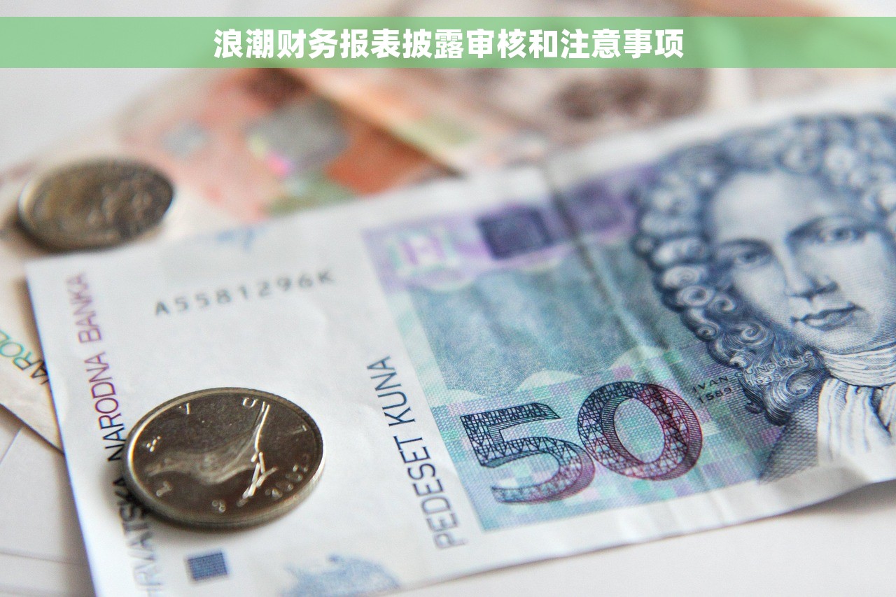 浪潮财务报表披露审核和注意事项