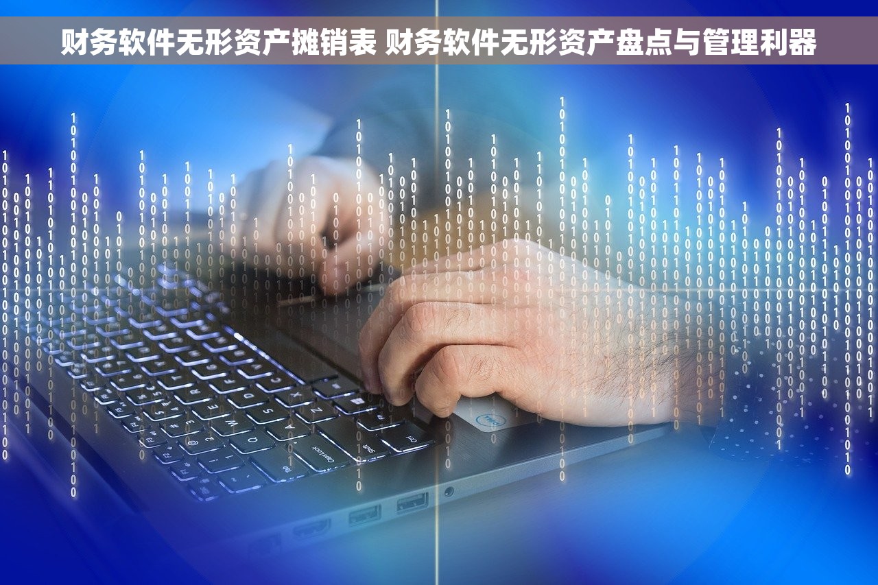 财务软件无形资产摊销表 财务软件无形资产盘点与管理利器