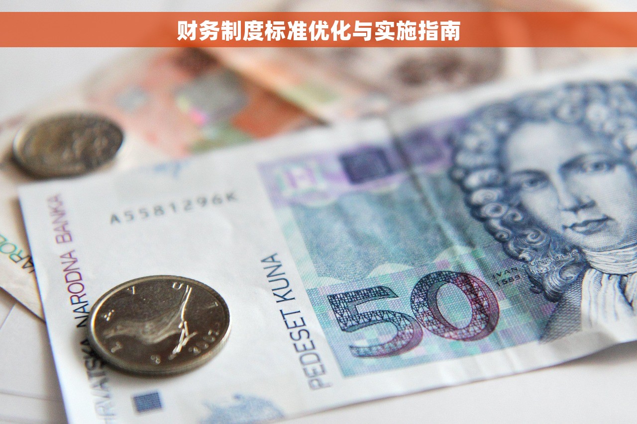 财务制度标准优化与实施指南