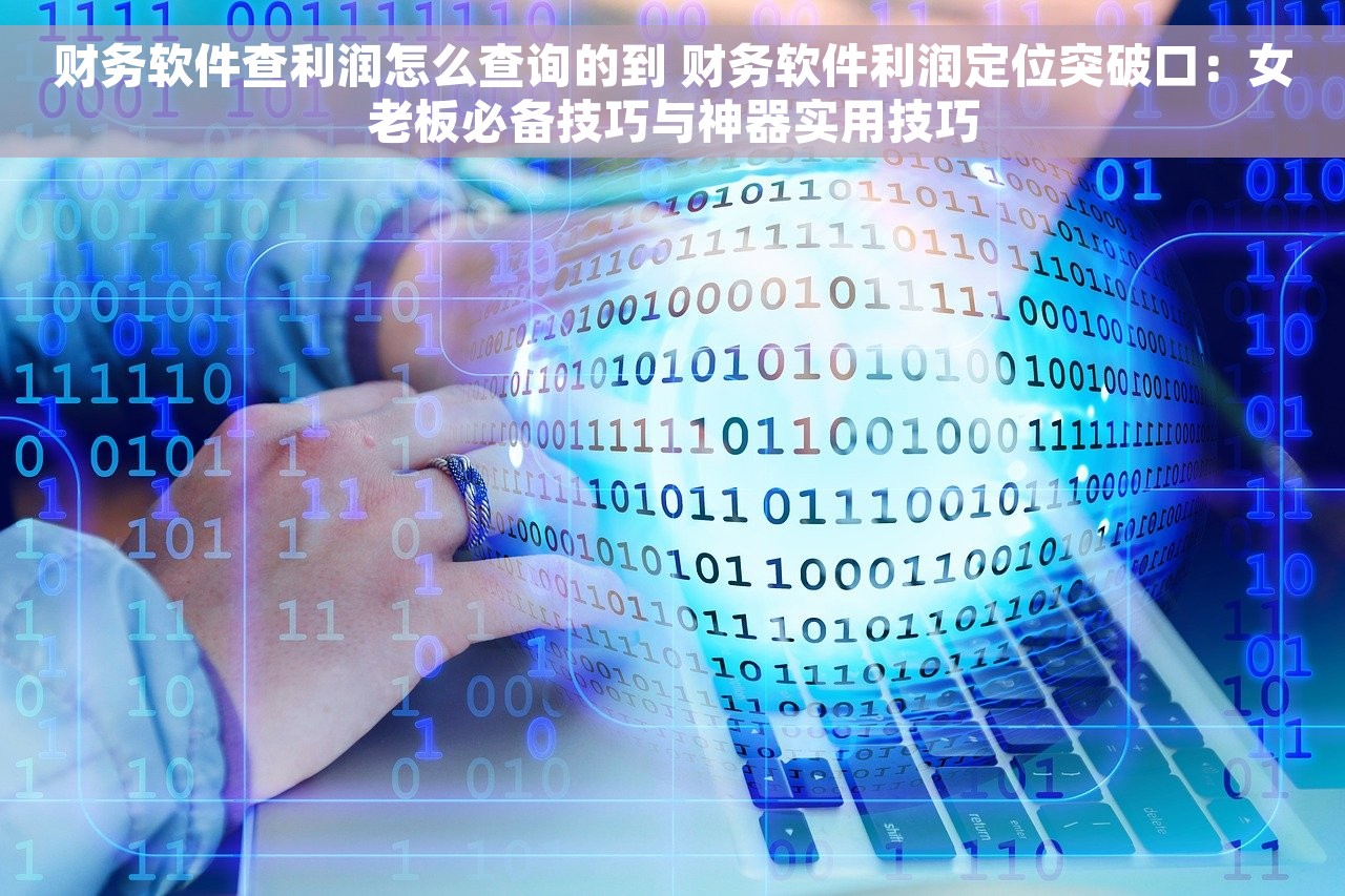 财务软件查利润怎么查询的到 财务软件利润定位突破口：女老板必备技巧与神器实用技巧