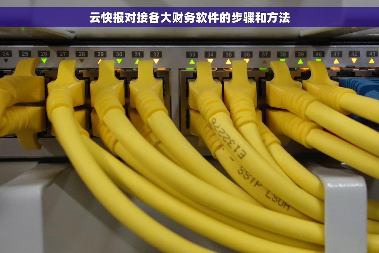 云快报对接各大财务软件的步骤和方法