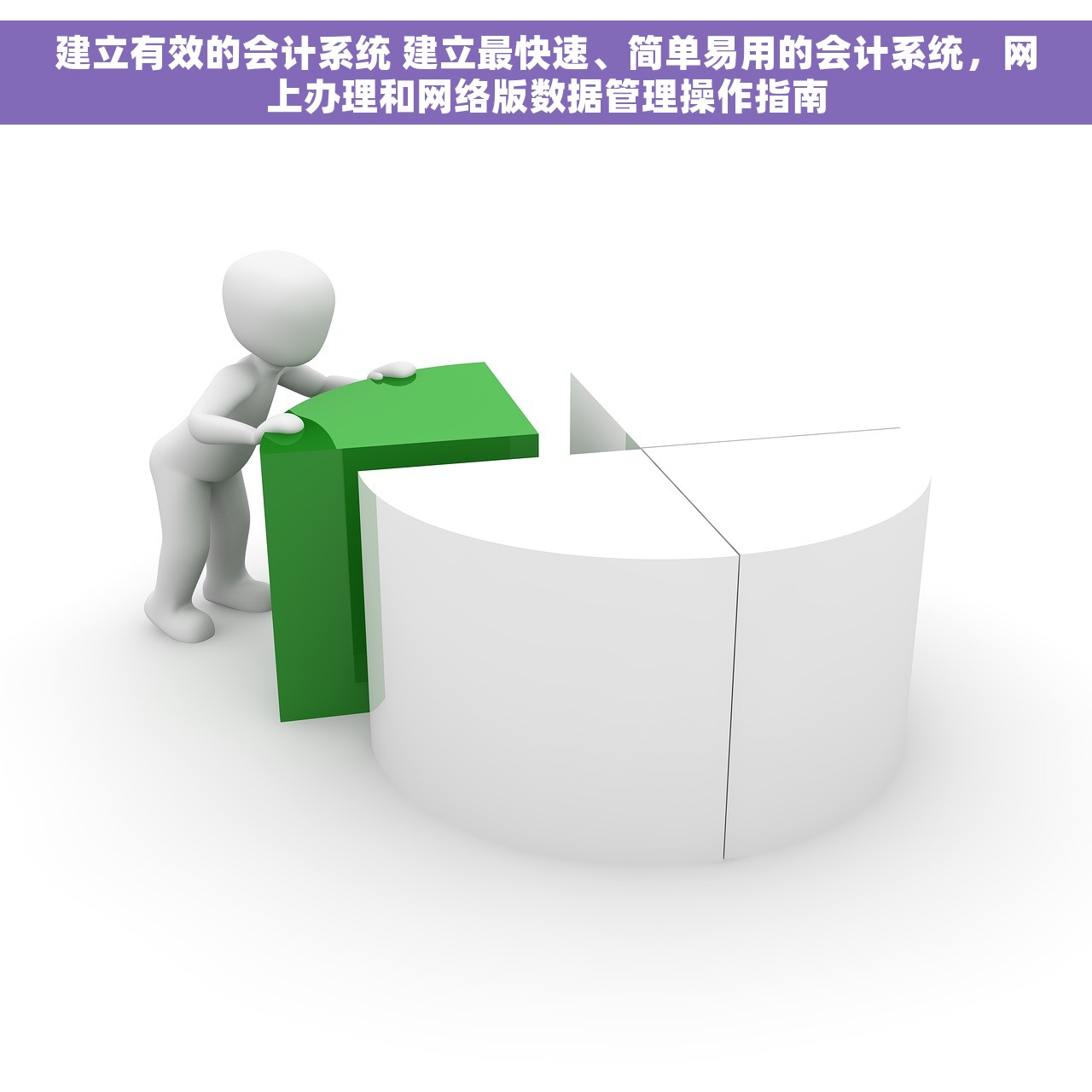建立有效的会计系统 建立最快速、简单易用的会计系统，网上办理和网络版数据管理操作指南