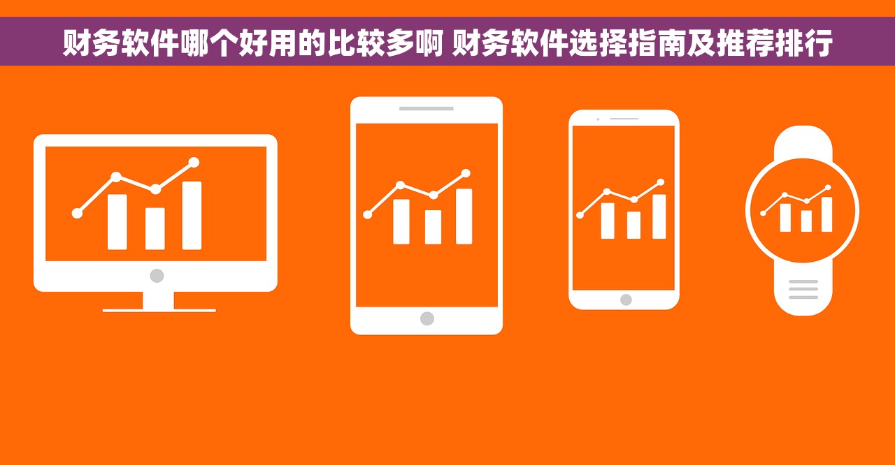 财务软件哪个好用的比较多啊 财务软件选择指南及推荐排行