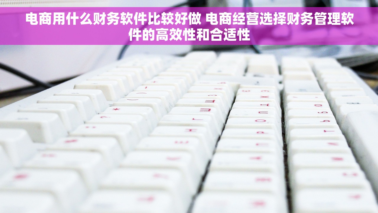 电商用什么财务软件比较好做 电商经营选择财务管理软件的高效性和合适性
