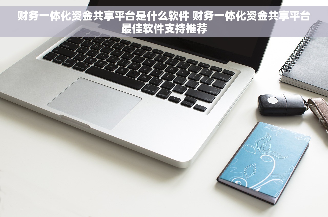 财务一体化资金共享平台是什么软件 财务一体化资金共享平台最佳软件支持推荐