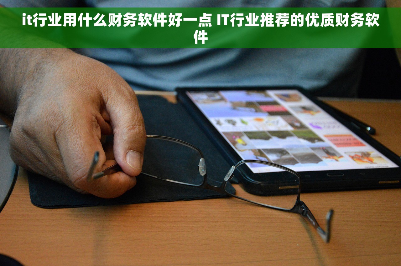 it行业用什么财务软件好一点 IT行业推荐的优质财务软件