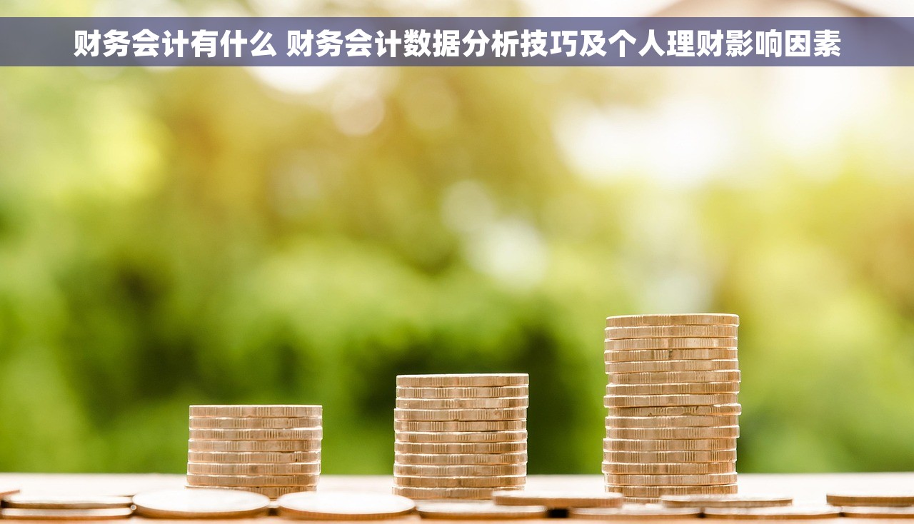 财务会计有什么 财务会计数据分析技巧及个人理财影响因素