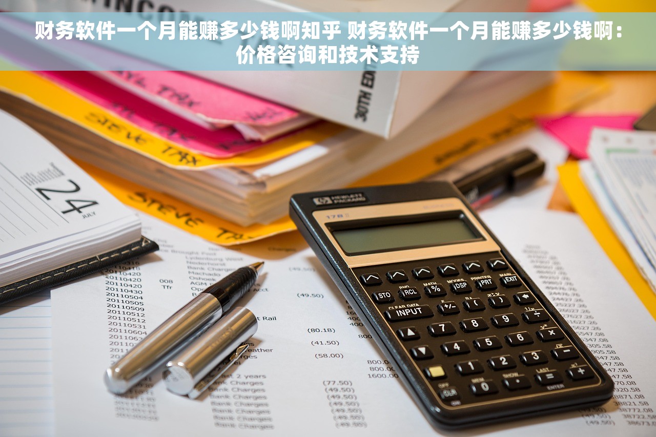 财务软件一个月能赚多少钱啊知乎 财务软件一个月能赚多少钱啊：价格咨询和技术支持