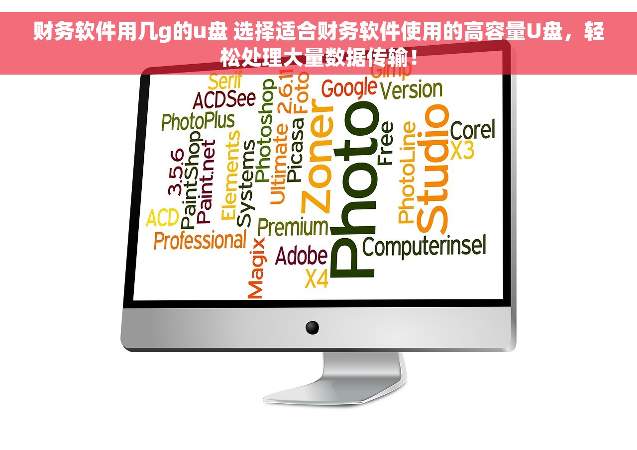 财务软件用几g的u盘 选择适合财务软件使用的高容量U盘，轻松处理大量数据传输！