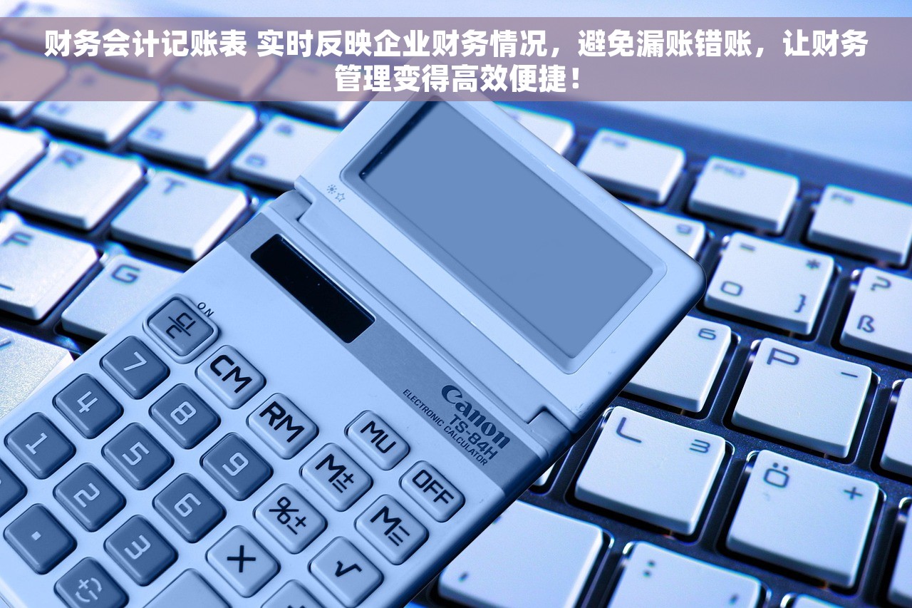 财务会计记账表 实时反映企业财务情况，避免漏账错账，让财务管理变得高效便捷！