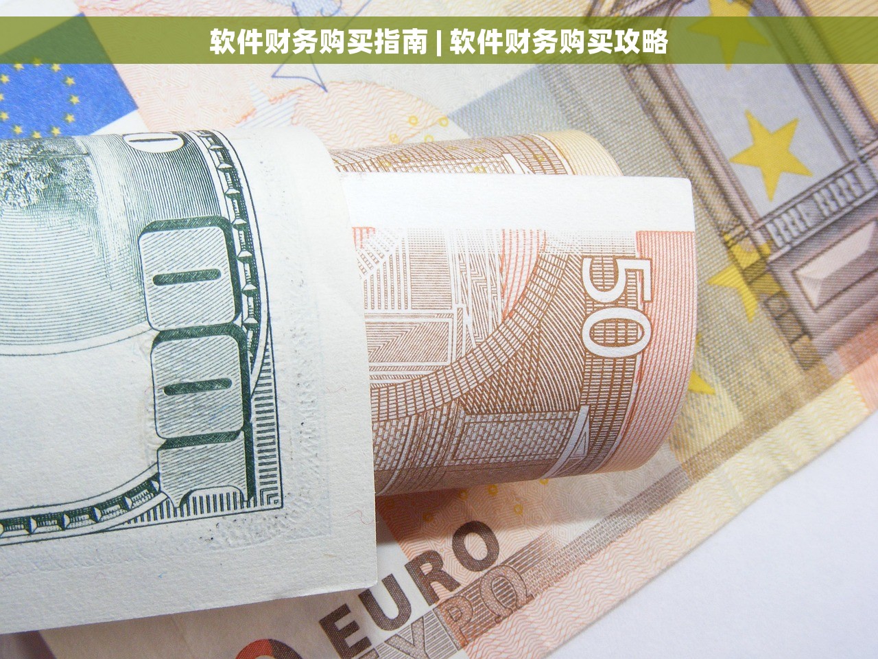 软件财务购买指南 | 软件财务购买攻略