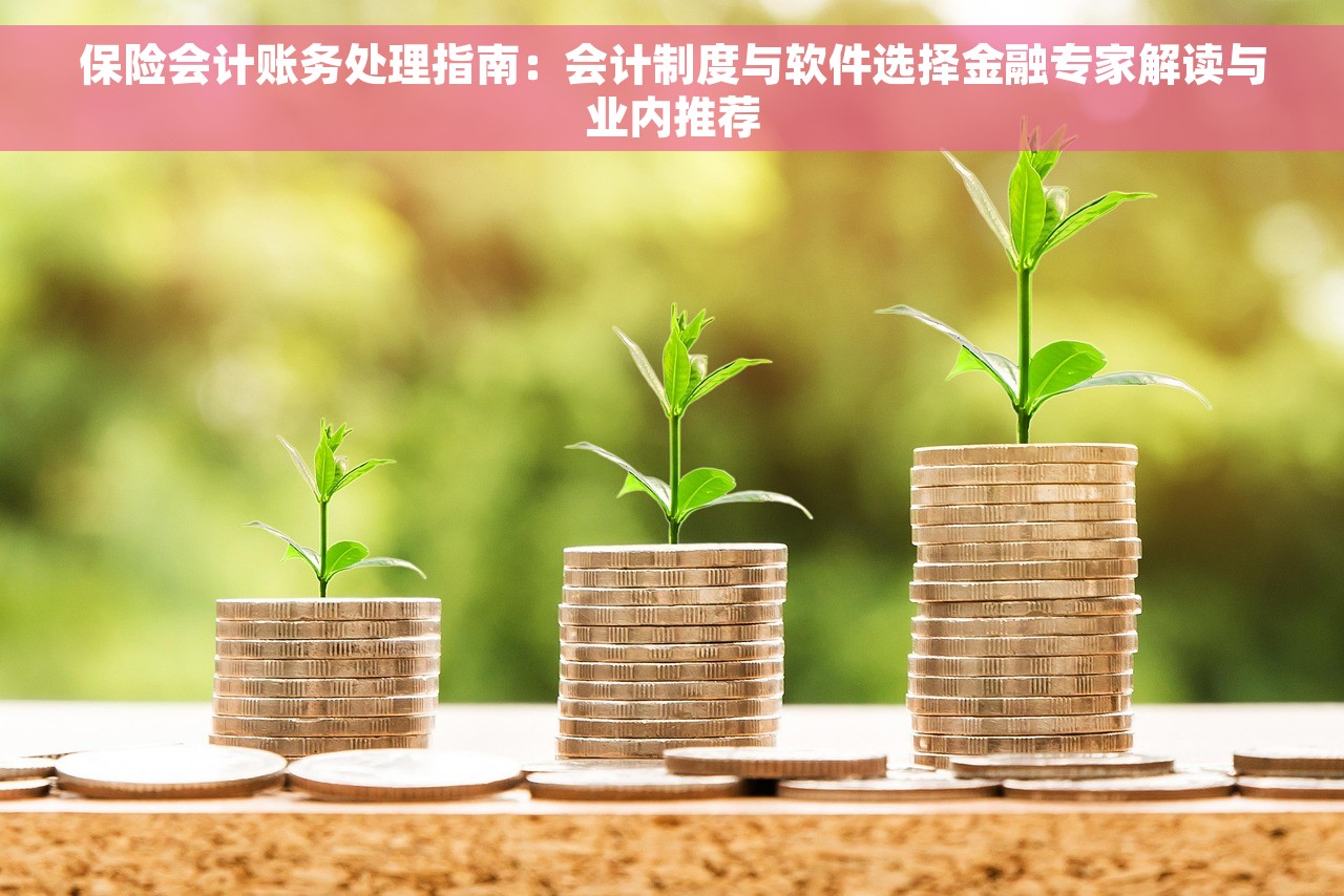 保险会计账务处理指南：会计制度与软件选择金融专家解读与业内推荐