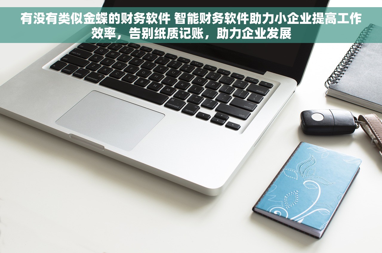 有没有类似金蝶的财务软件 智能财务软件助力小企业提高工作效率，告别纸质记账，助力企业发展