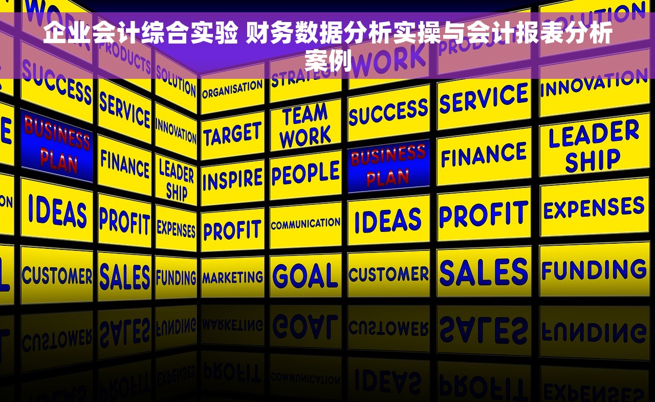 企业会计综合实验 财务数据分析实操与会计报表分析案例