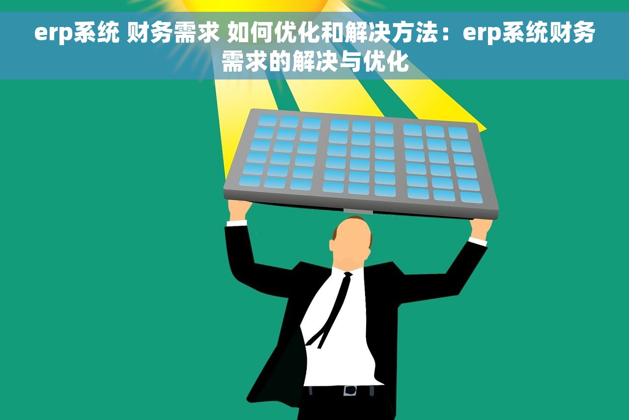 erp系统 财务需求 如何优化和解决方法：erp系统财务需求的解决与优化