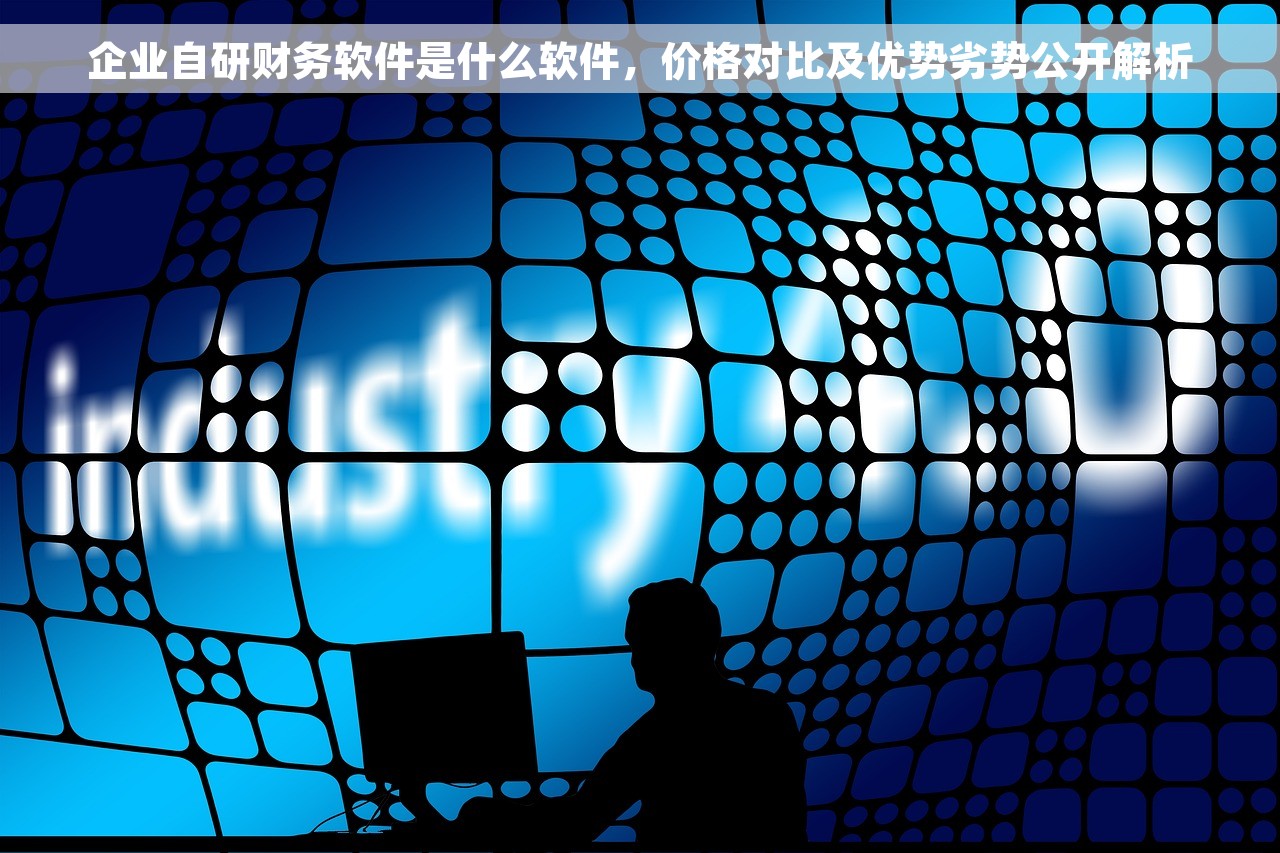 企业自研财务软件是什么软件，价格对比及优势劣势公开解析