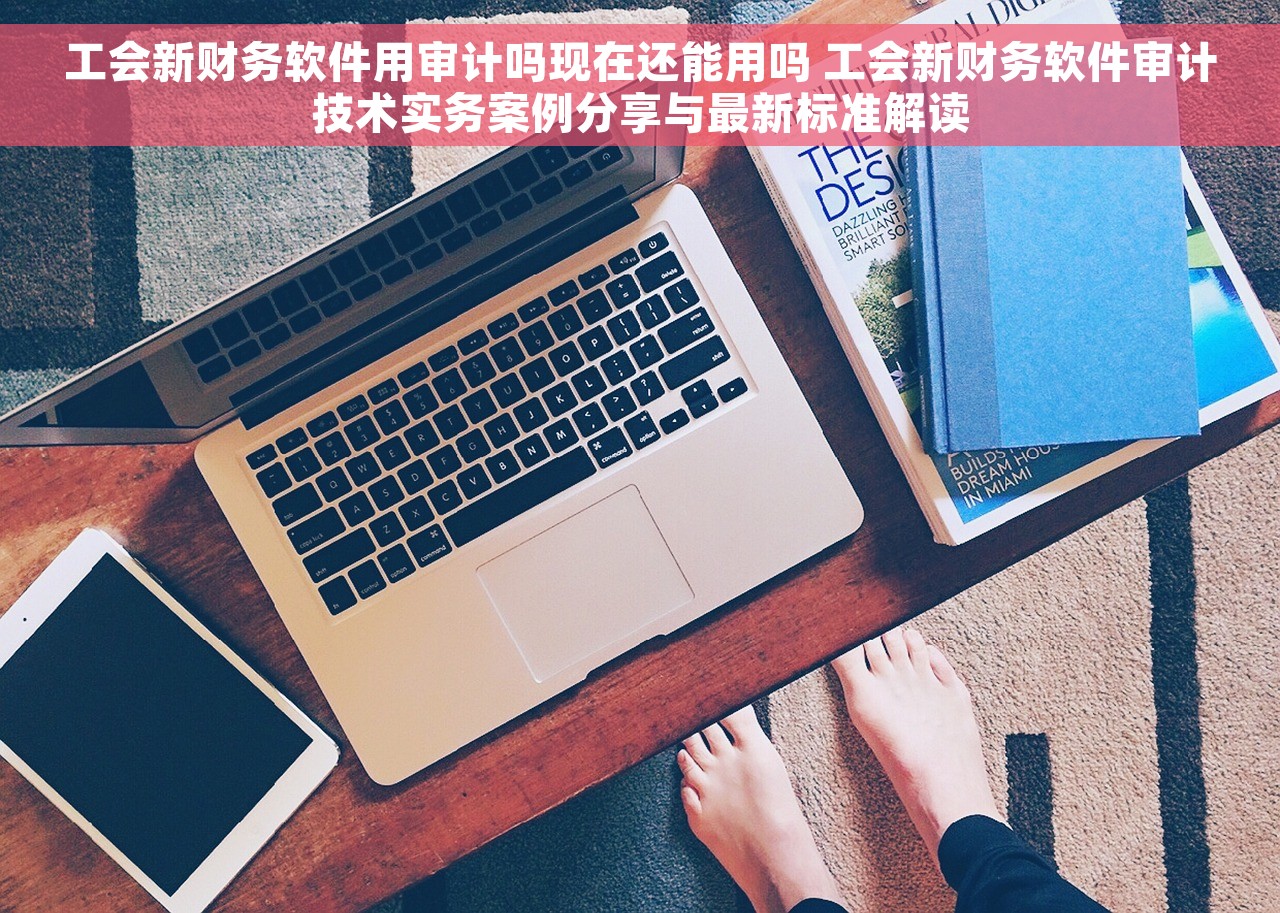 工会新财务软件用审计吗现在还能用吗 工会新财务软件审计技术实务案例分享与最新标准解读