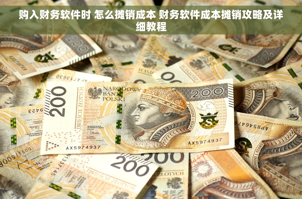 购入财务软件时 怎么摊销成本 财务软件成本摊销攻略及详细教程