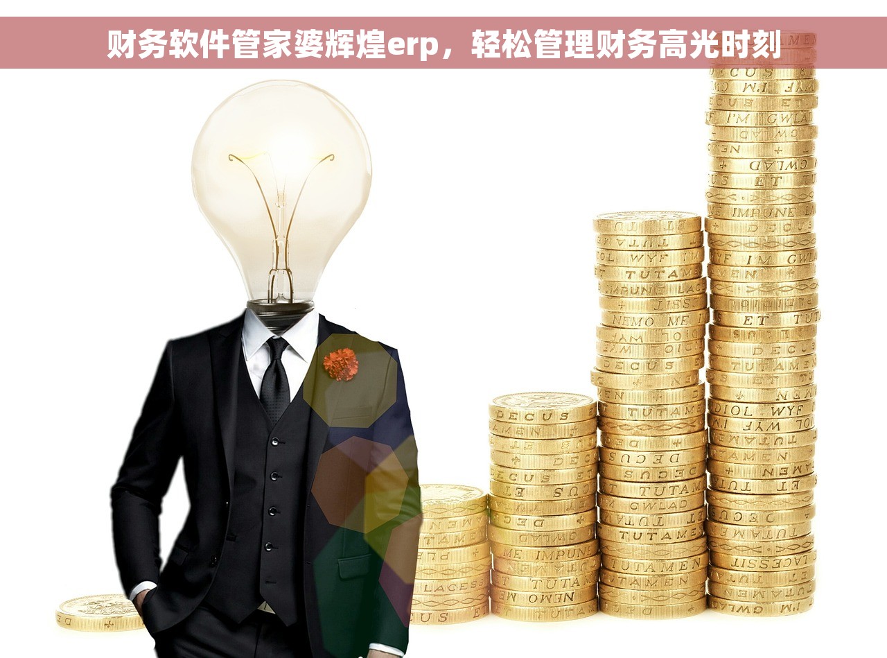 财务软件管家婆辉煌erp，轻松管理财务高光时刻