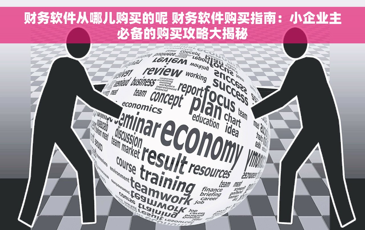 财务软件从哪儿购买的呢 财务软件购买指南：小企业主必备的购买攻略大揭秘