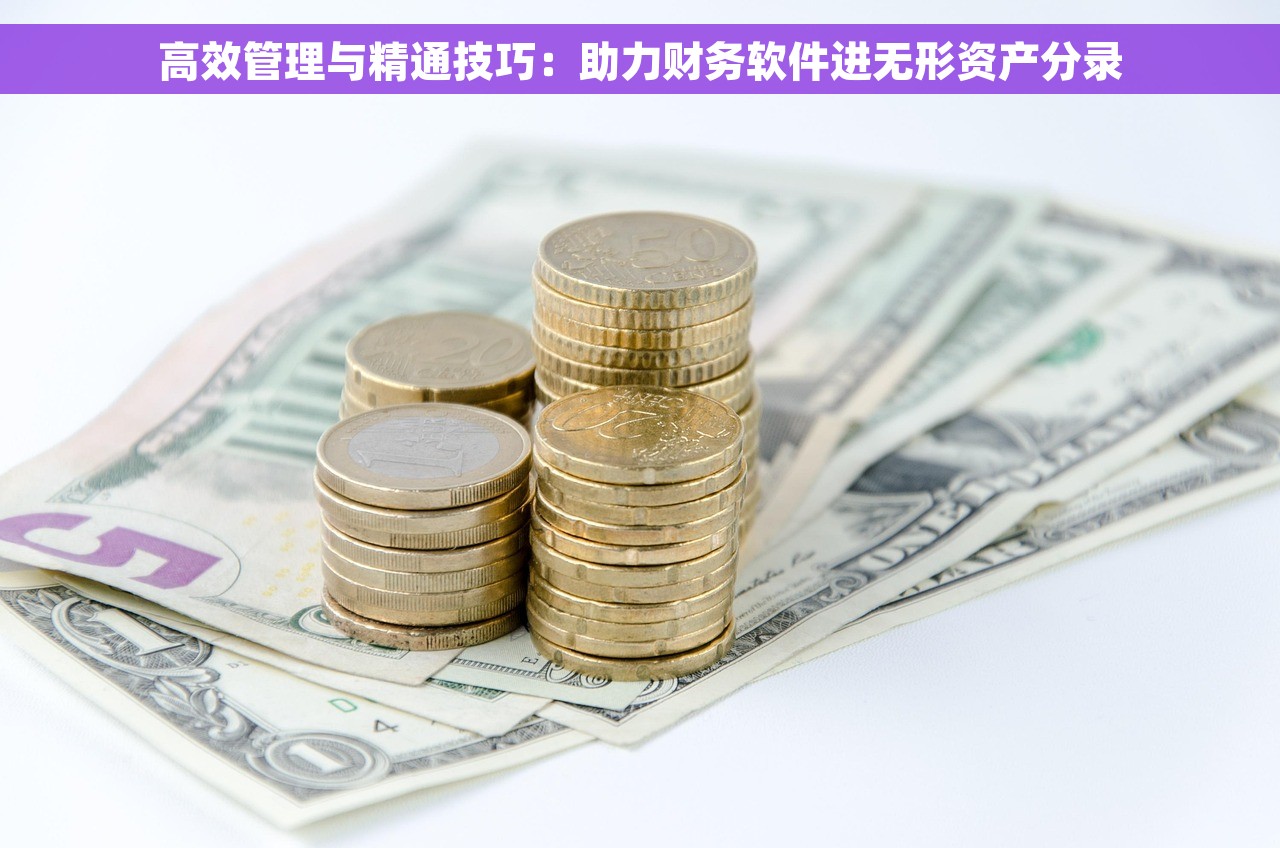 高效管理与精通技巧：助力财务软件进无形资产分录