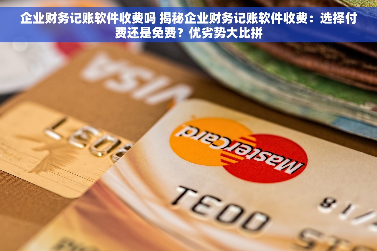 企业财务记账软件收费吗 揭秘企业财务记账软件收费：选择付费还是免费？优劣势大比拼