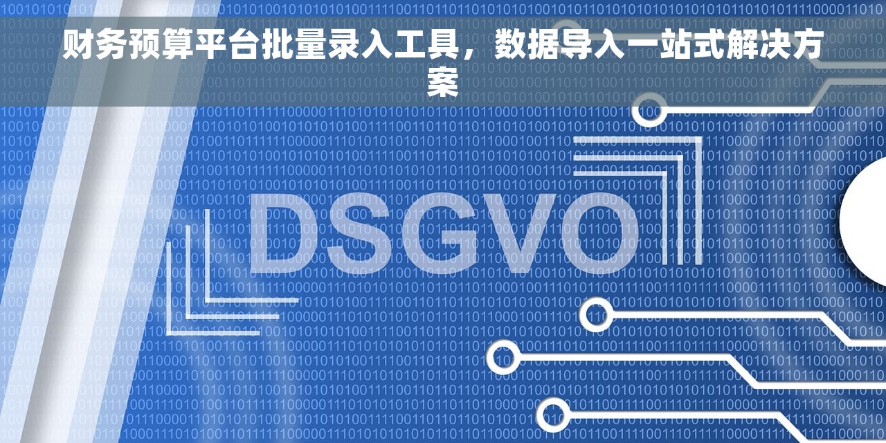 财务预算平台批量录入工具，数据导入一站式解决方案