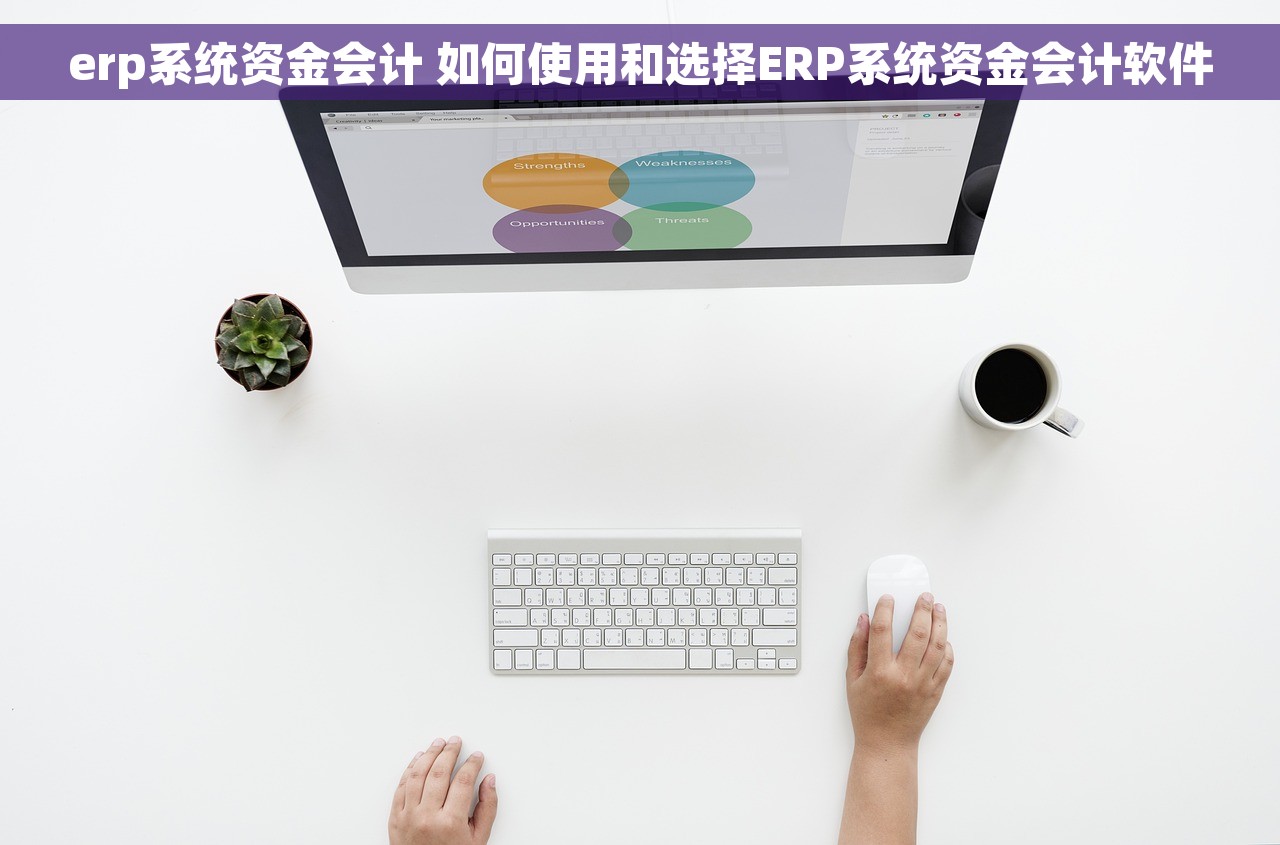 erp系统资金会计 如何使用和选择ERP系统资金会计软件