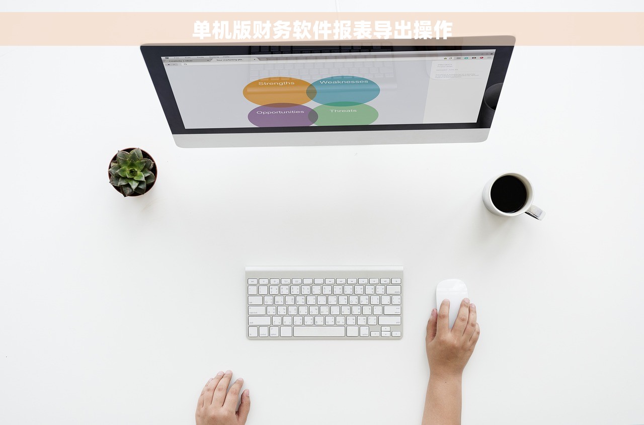 单机版财务软件报表导出操作