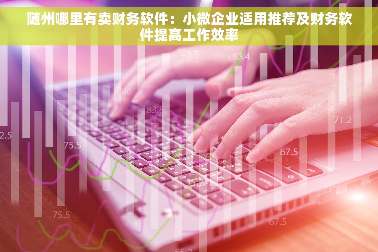 随州哪里有卖财务软件：小微企业适用推荐及财务软件提高工作效率