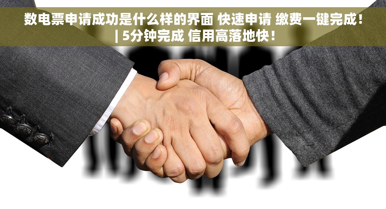 数电票申请成功是什么样的界面 快速申请 缴费一键完成！ | 5分钟完成 信用高落地快！