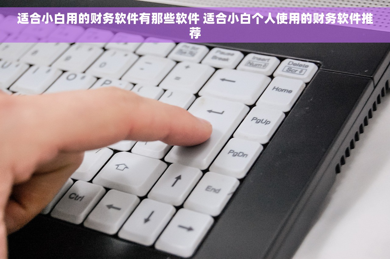 适合小白用的财务软件有那些软件 适合小白个人使用的财务软件推荐