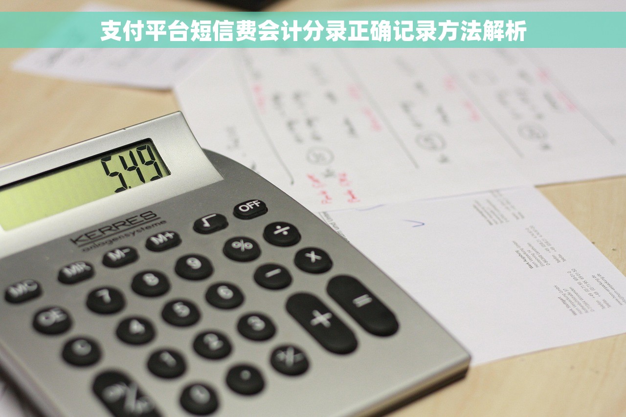 支付平台短信费会计分录正确记录方法解析