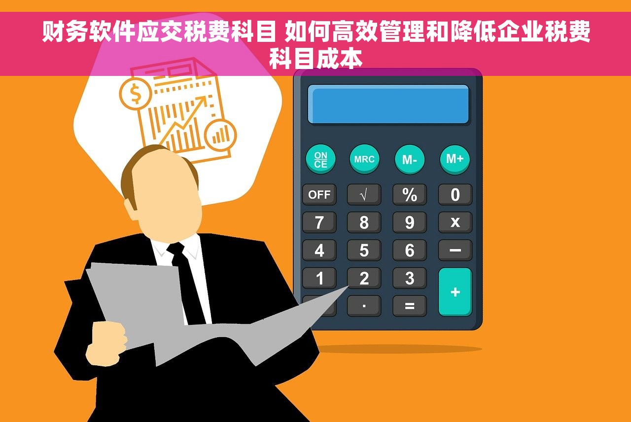 财务软件应交税费科目 如何高效管理和降低企业税费科目成本