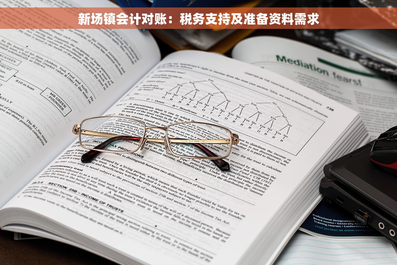 新场镇会计对账：税务支持及准备资料需求