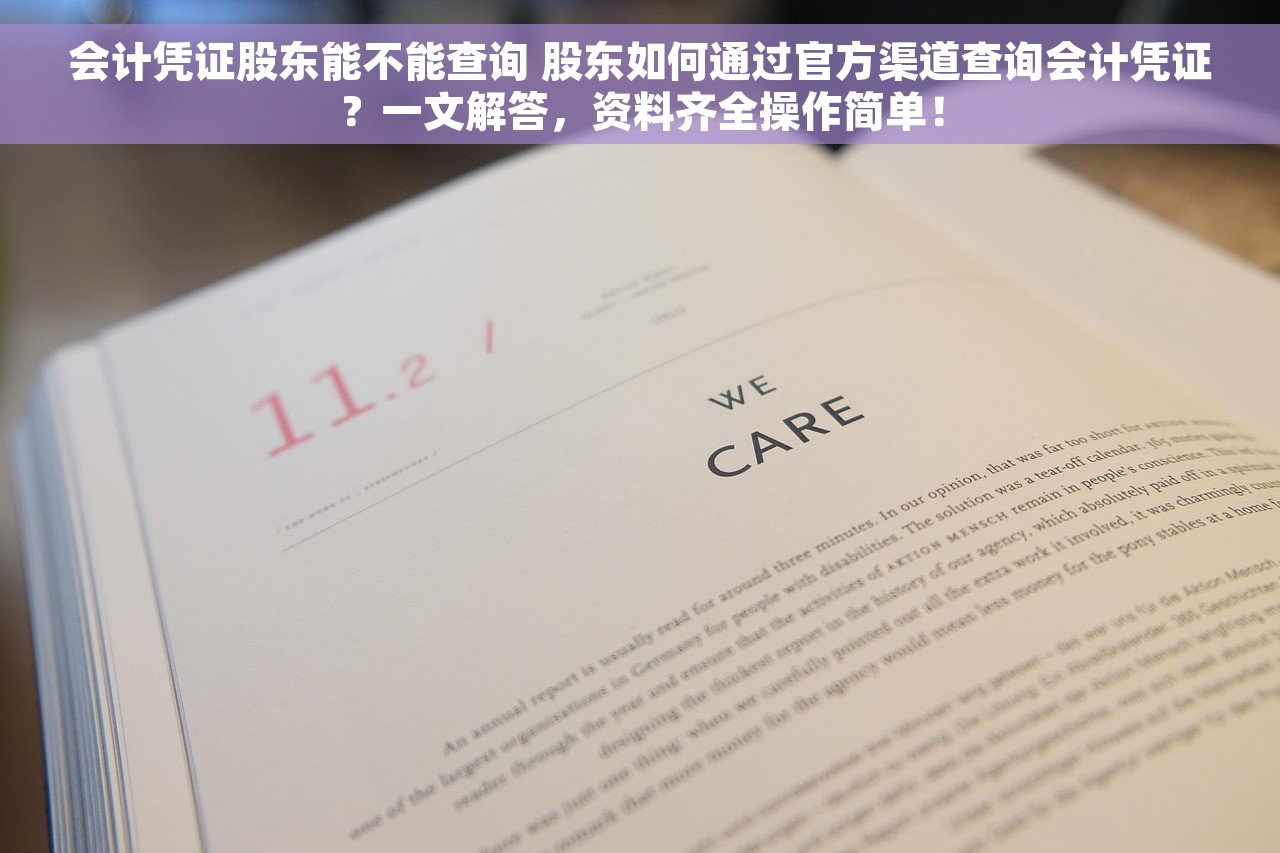 会计凭证股东能不能查询 股东如何通过官方渠道查询会计凭证？一文解答，资料齐全操作简单！