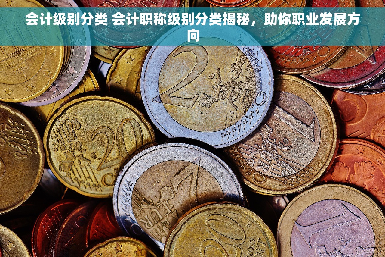 会计级别分类 会计职称级别分类揭秘，助你职业发展方向