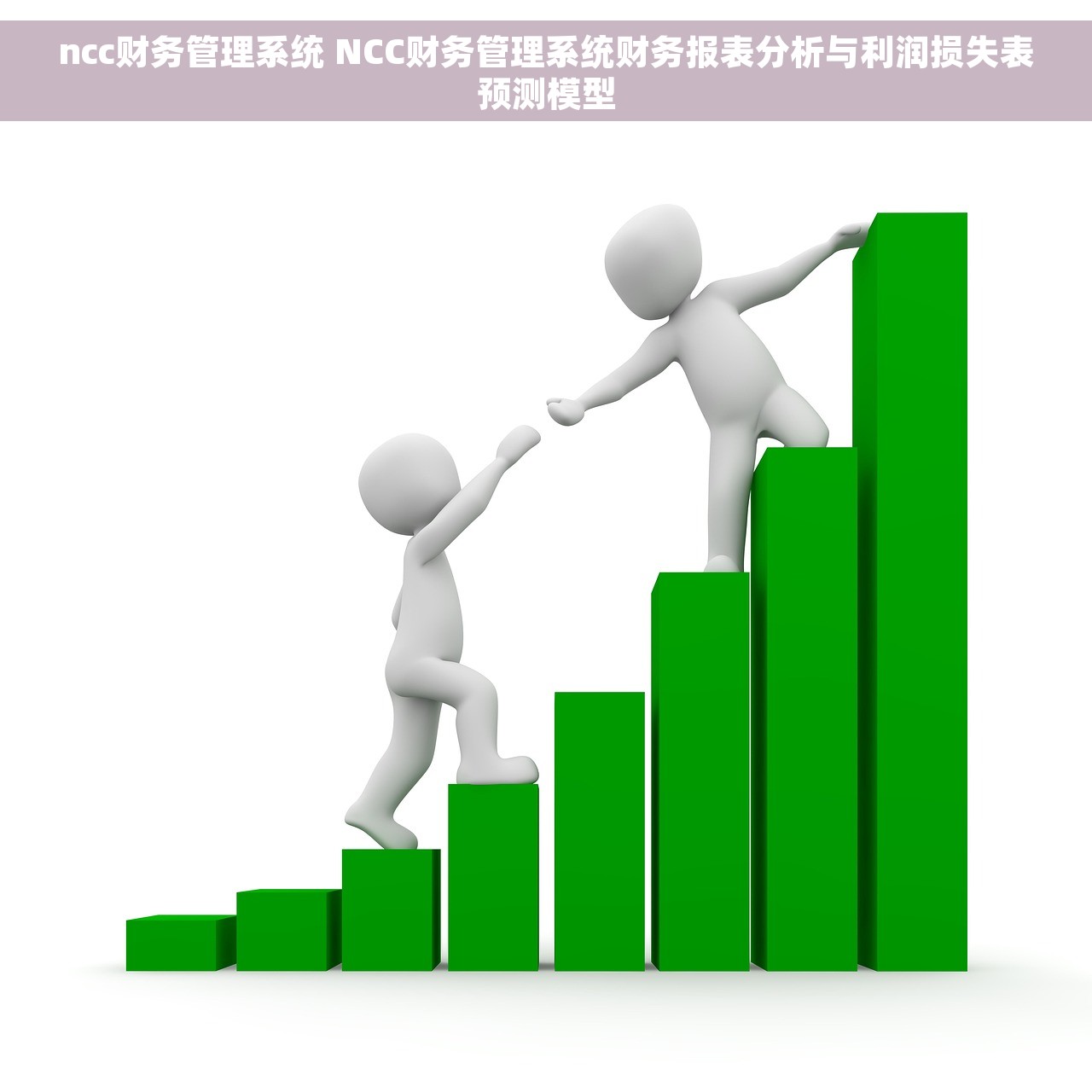 ncc财务管理系统 NCC财务管理系统财务报表分析与利润损失表预测模型