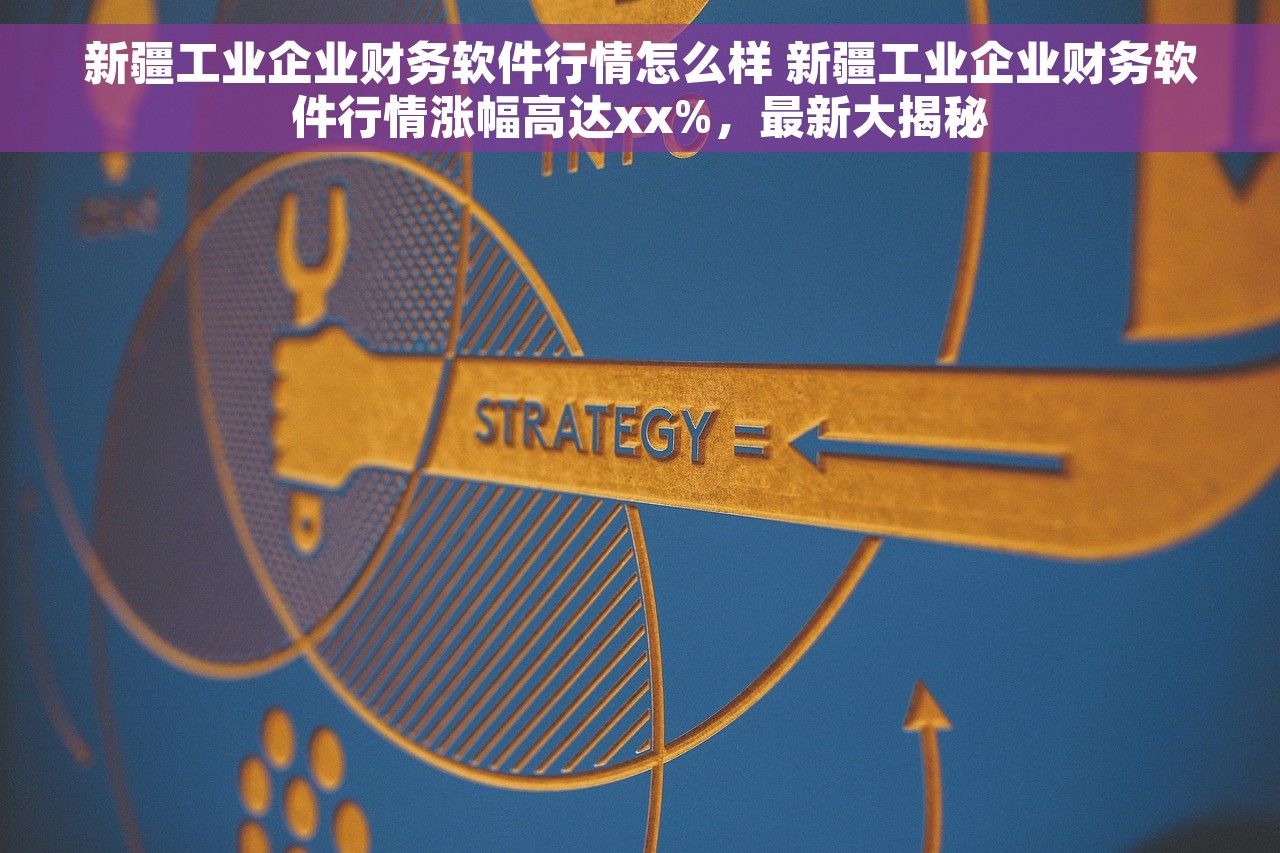 新疆工业企业财务软件行情怎么样 新疆工业企业财务软件行情涨幅高达xx%，最新大揭秘