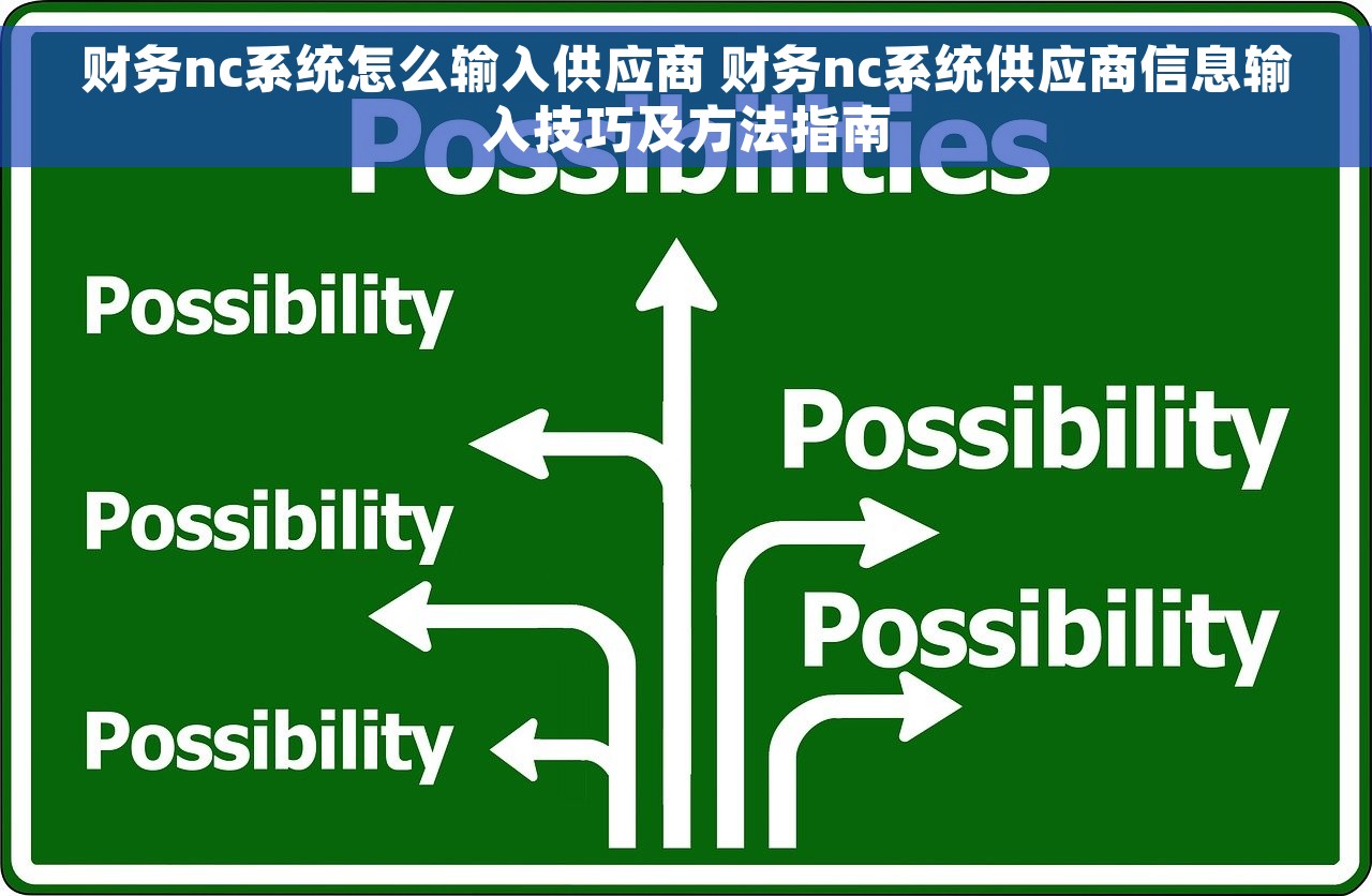 财务nc系统怎么输入供应商 财务nc系统供应商信息输入技巧及方法指南