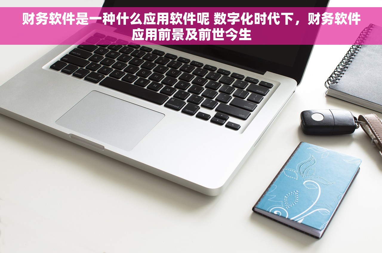 财务软件是一种什么应用软件呢 数字化时代下，财务软件应用前景及前世今生