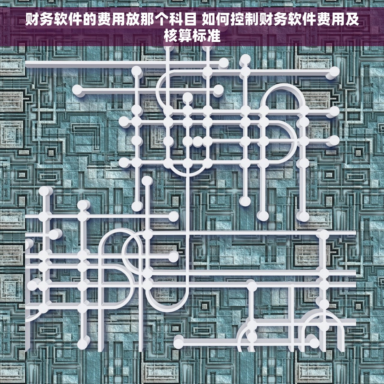 财务软件的费用放那个科目 如何控制财务软件费用及核算标准