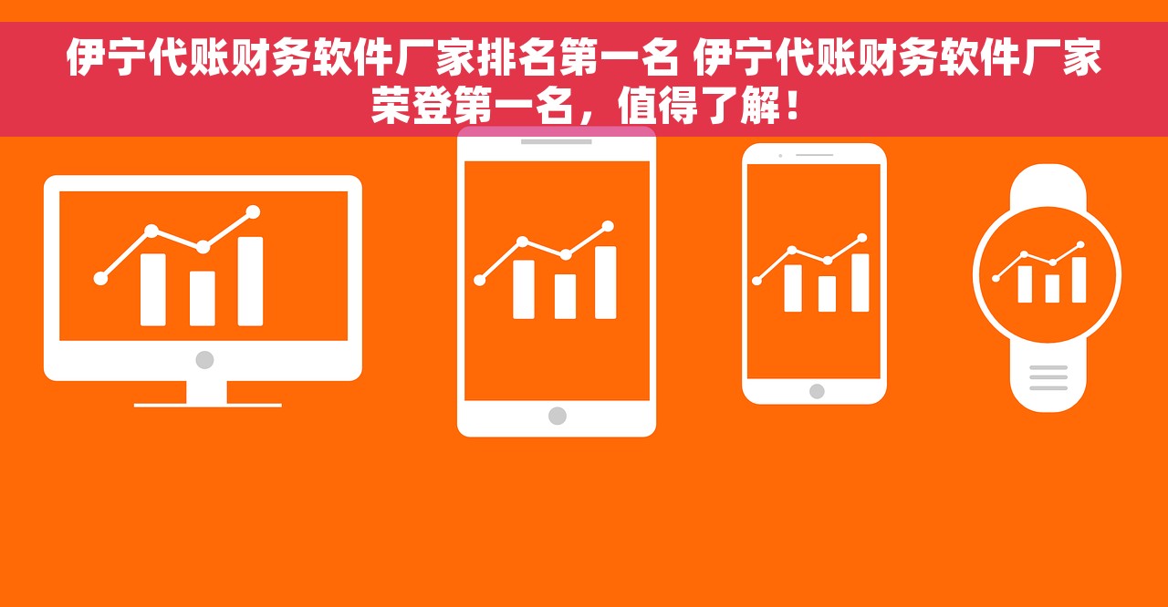 伊宁代账财务软件厂家排名第一名 伊宁代账财务软件厂家荣登第一名，值得了解！